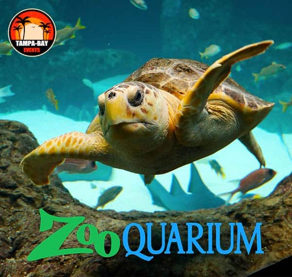 Tampa's ZooQuarium